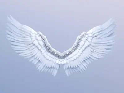 Stylized Angel Feather Wings 3D model