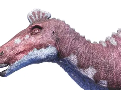  Edmontosaurus Static 