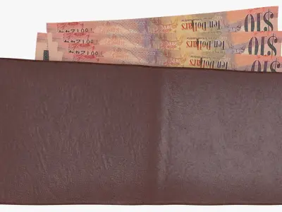 Cayman Islands British 10 Dollar Wallet Money Purse 3D model