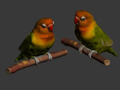 Parrot 3D model 2