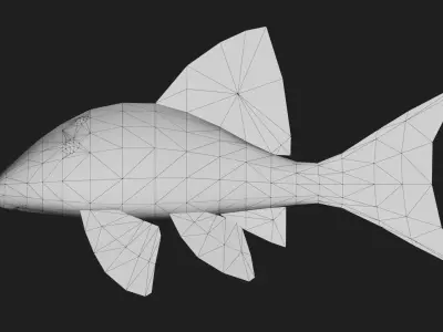 Panaque Low-poly 3D model