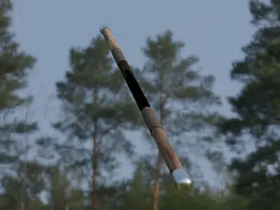 Quarterstaff stick in field 3D model