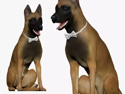 001207 shepherd 3D model