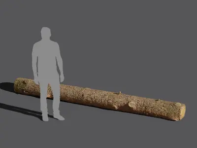  Straight Fresh Log Model 