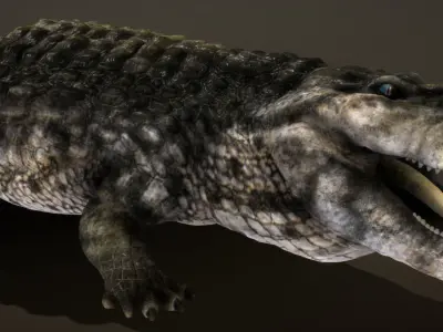 Purussaurus Low-poly 3D model
