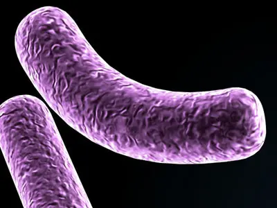 Micro cells models collection 3D model purchase