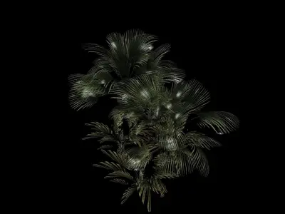 Plants - game ready 3d model palm tree Low-poly 3D model