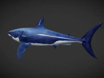 Shark great Low-poly 3D model get