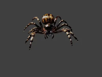 Spider Low-poly 3D model purchase