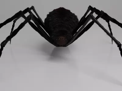 Spider high poly with long legs 3D model