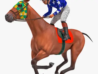 Bay Racing Horse with Jokey Gallop  purchase 3D model