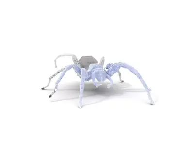 Transparent Spider Glass model pack Low-poly 3D model