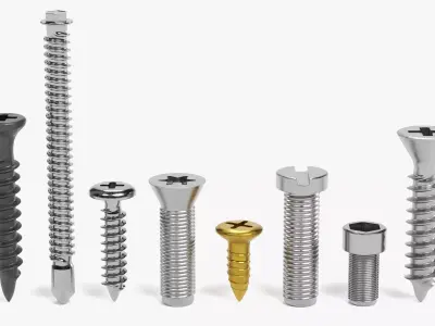 -Screws- 3D model