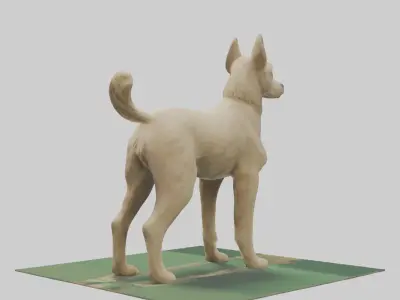Berger Picard herding model Low-poly 3D model