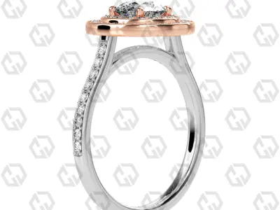 Ring 209 Round Shape Cathedral Double Halo pave set with Gems 3D print model