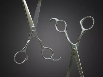 Barber scissors and thinning hair scissors 3D model