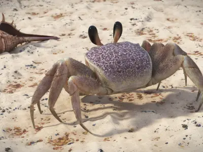  Tropical Ghost Crab Moving Pose Pink Beige Fur 