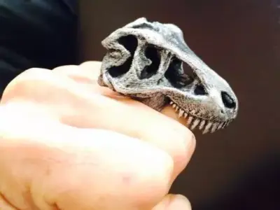 Rex Ring Remix Free 3D print model