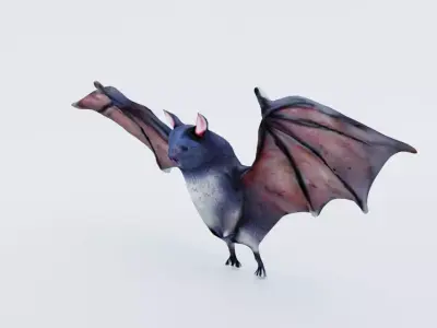 Bat Animal Free 3D model