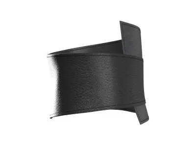 Black Bustier 3D model