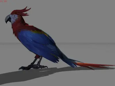 Parrot Red Bird Animal Low-poly 3D model
