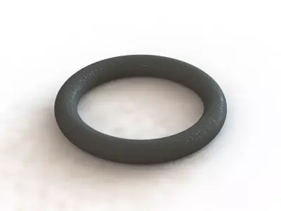 O Ring Vedabras 12790 3D model