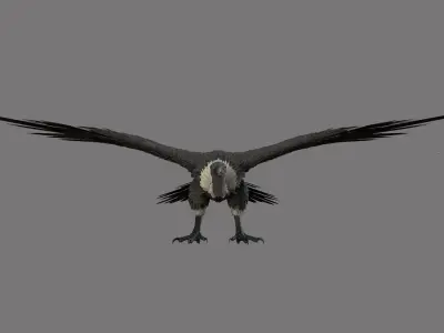 vulture 3D model buy