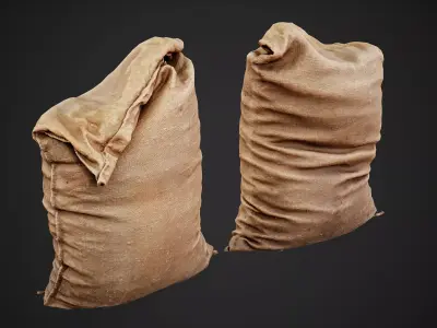 Old burlap bag photo scan Free low-poly 3D model