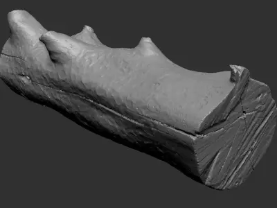 Tree trunk wood ZBrush engraving highpoly 3D model