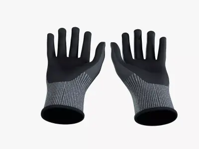 Cut Resistance Gloves 3D model