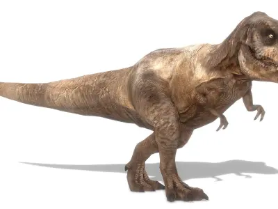 Tyrannosaurus Rex Animated Low-poly 3D model