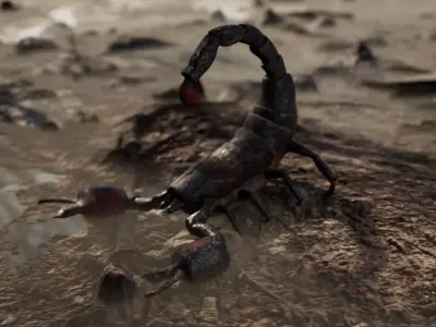 Scorpion model 3D model