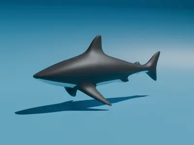 shark Low-poly 3D Model Low-poly 3D model