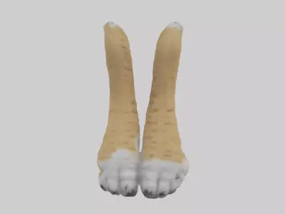 Lynx Paws Model Low-poly 3D model