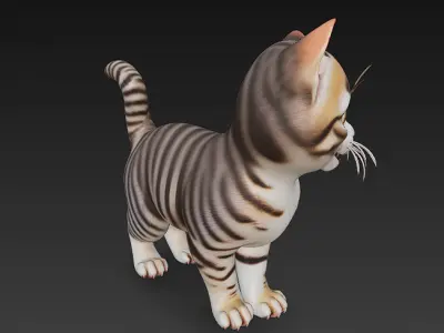 Optimized Low-Poly Kitten 3D Model UE5- Unity Real-Time Ready Low-poly 3D model purchase