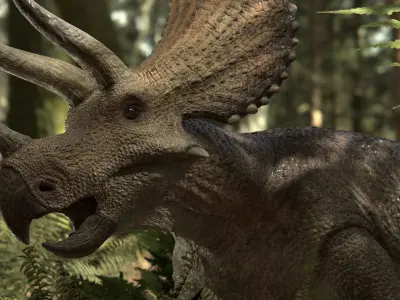 Triceratops Low-poly 3D model 2