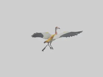 Crane flying model 3D model