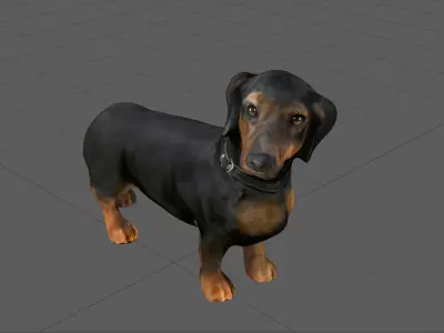 DACHSHUND Low-poly 3D model purchase