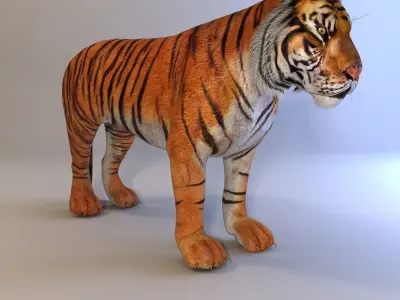 Amur Tiger Mray v1 Low-poly 3D model