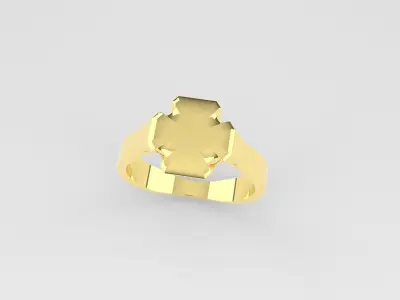 Rings Women And Man Rings 3dm 3D print model