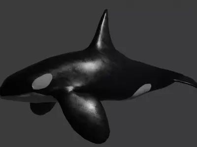 Orca wheel Rig Optimize game ready for unreal and unity Low-poly 3D model