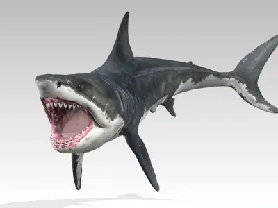 Megalodon Low-poly 3D model buy