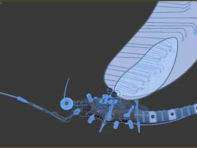 mechanical insect Ephemera Danica Free 3D model