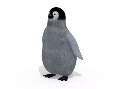 Penguin 3D model shop