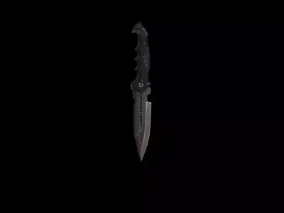 tactical dagger 3d model 3D model