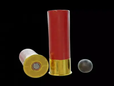 Shotgun bullet Free 3D model