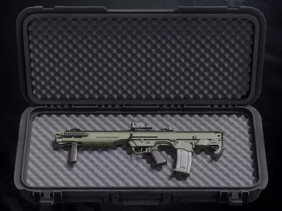 DF 122 Shotgun With Hands And weapon Case Low-poly 3D model