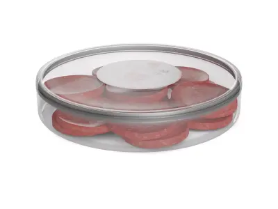 Dried meats Beef Salami 3D model