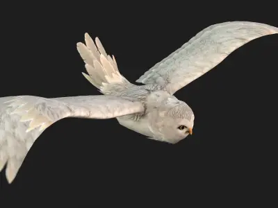OwlBird A3 3D model