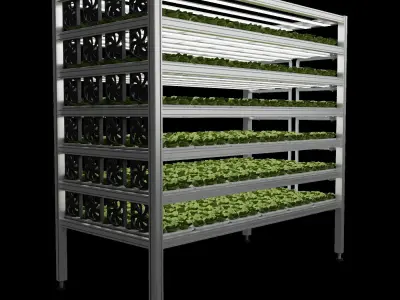 Vertical farm hydroponic 3D model